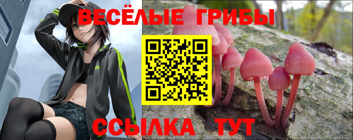 Галлюциногенные грибы мицелий  Вход с VPN  хочу наркоту  Чистополь 